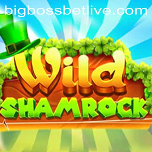 Discover the Thrilling World of WildShamrock and the High Stakes of BigBossBet